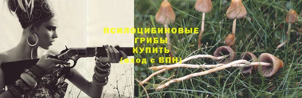 герыч Алексеевка