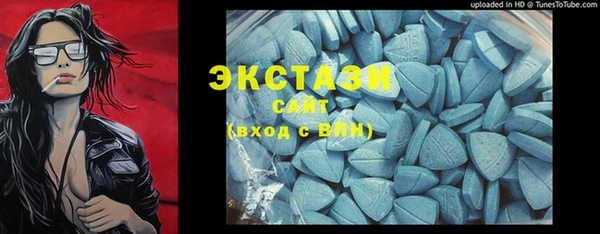 хмурый Арсеньев